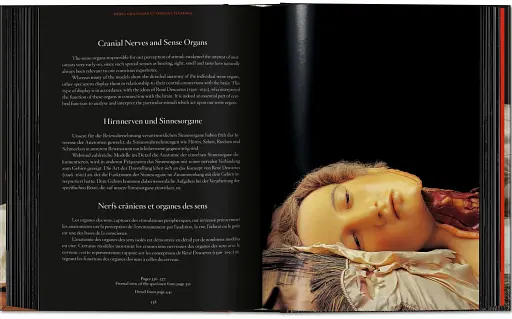 Anatomical Waxes. 45th Edition - фото 21