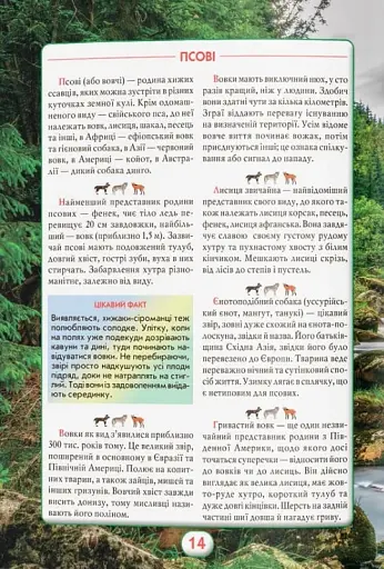 Ви маєте це знати. Світ звірів - фото 16