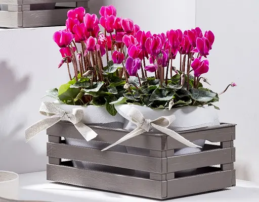 Ящик для хранения Tina 2 25x31x11,5h серо-бежевый - фото 4