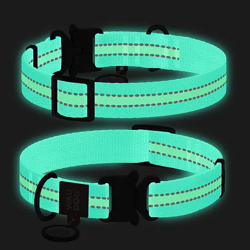 Ошейник для собак нейлоновый Waudog Nylon с QR-паспортом светонакопительный/светоотражающий металлическая пряжка-фастекс Ш 20 - фото 2