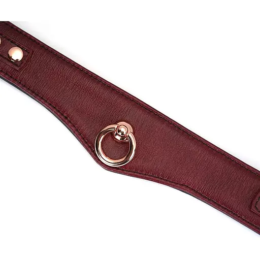 Ошейник с поводком Liebe Seele Wine Red Curved Collar - фото 8