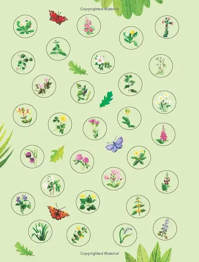 Flowers to Spot. Usborne Minis - фото 5