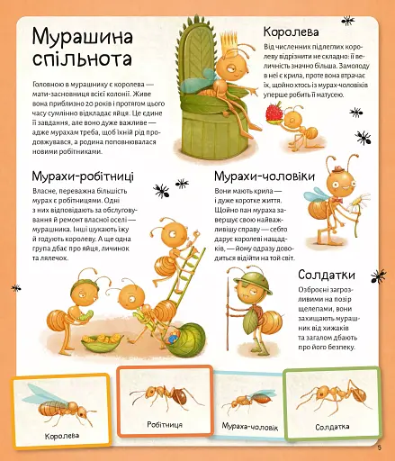Світ мурах - фото 7
