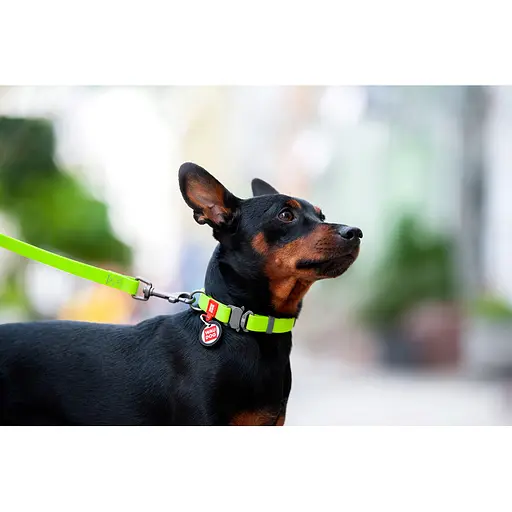 Нашийник для собак водостійкий Waudog Waterproof з QR-паспортом металічна пряжка-фастекс Ш 20 мм Д 28-40 см салатовий - фото 5