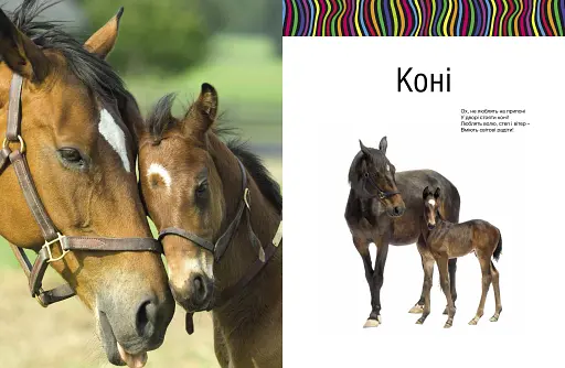 Малята звірята - фото 6