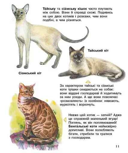Коти. Енциклопедія дошкільника - фото 3