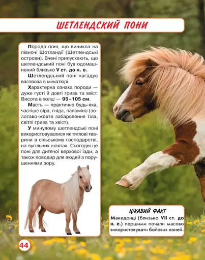 Світ навколо нас. Коні - фото 5