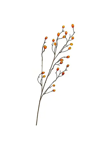 Гілочка шипшини, 82 см Elisey 8414-003  