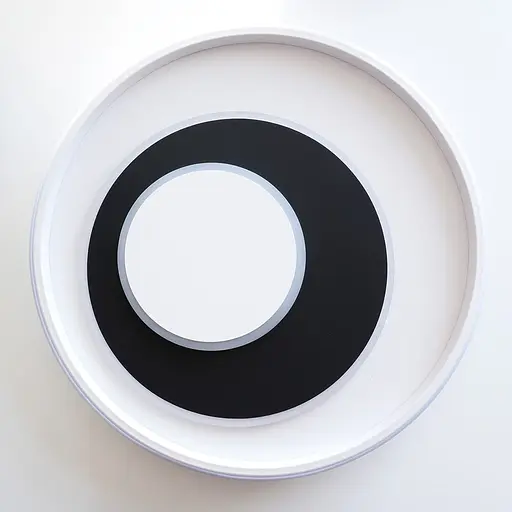 Світлодіодний накладний світильник Ardero AL6101ARD CLAUDE R 60Вт чорний білий - фото 2