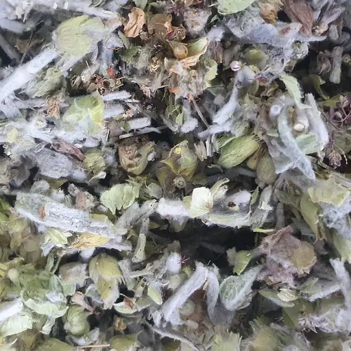 100 г татар-чай/железница/мурсальский чай/лимонник крымский трава сушеная - свежий урожай