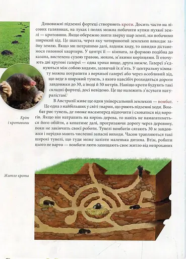 Енциклопедія для допитливих А5 : Тварини - винахідники і будівельники (Українська, 01 КРЕЙДОВАНИЙ ) - фото 7