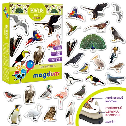 Детский набор магнитов Птицы фото Magdum ML4031-30 EN - фото 2