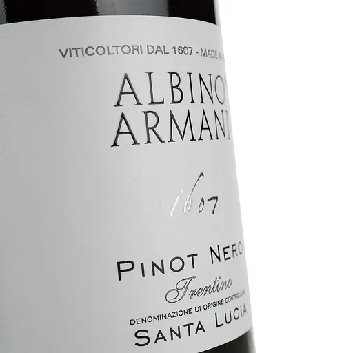 Вино Albino Armani Pinot Nero Trentino Santa Lucia DOC, красное, сухое, 12,5%, 0,75 л - фото 5