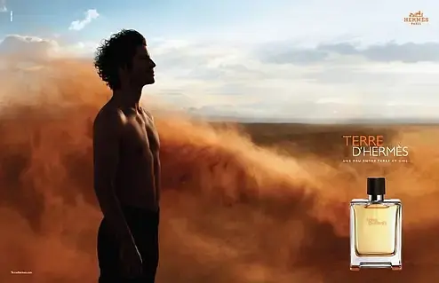 Hermes Terre d'hermes Eau De Toilette туалетна вода 100 ml - фото 6