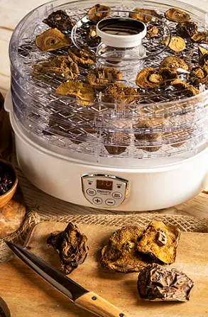 Сушарка для грибів трав і харчових продуктів дегідратор Camry CR 6659 - фото 5