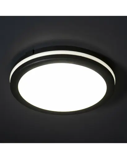 Уличный светильник Kanlux 38383 BENO ECO LED 1x20 3000K/4000K/6500K 1450/1600/1500Lm IP65 черный - фото 2