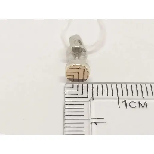 Срібні пусети Golden Silver з позолотою. ЛИБЕ - фото 5