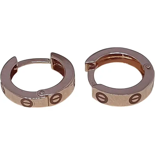 Золотые серьги Favoritum. 210149_1