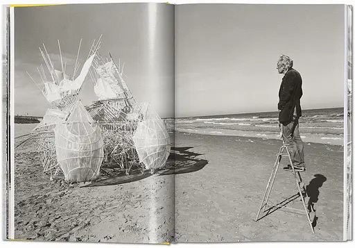 Strandbeest. The Dream Machines of Theo Jansen - фото 4