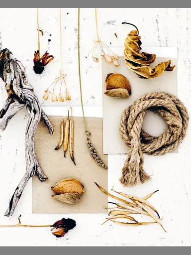 Натхнення природою. Створюємо індивідуальні та природні інтер’єри - фото 7