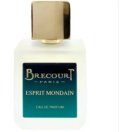 Парфумована вода Brecourt Esprit Mondain 74 мл - фото 1