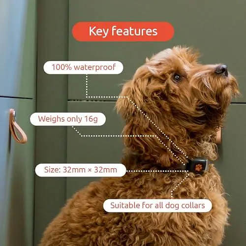 Монітор активності та фітнесу для собак PitPat (без GPS) - Не потрібна перезарядка або підписка - Підходить для всіх собак - фото 5