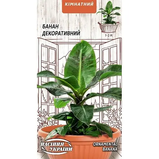 Насіння Банан декоративний Насіння України кімнатний 0.1 г (745500)