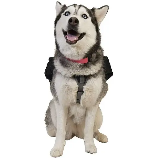 Рюкзак для собак Ultimate Direction Dog Vest Black M (1012-80469820-BK-M) - фото 3