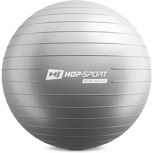 Фитбол Hop-Sport 65см серебристый + насос 2020
