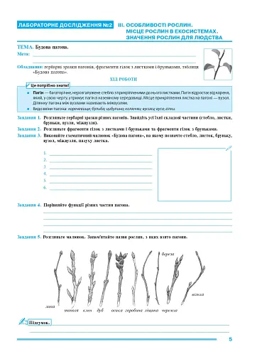 Біологія. 7 клас. Практикум (за програмою Самойлов А. М., Тагліна О. В., Утєвська О. М.) - фото 3