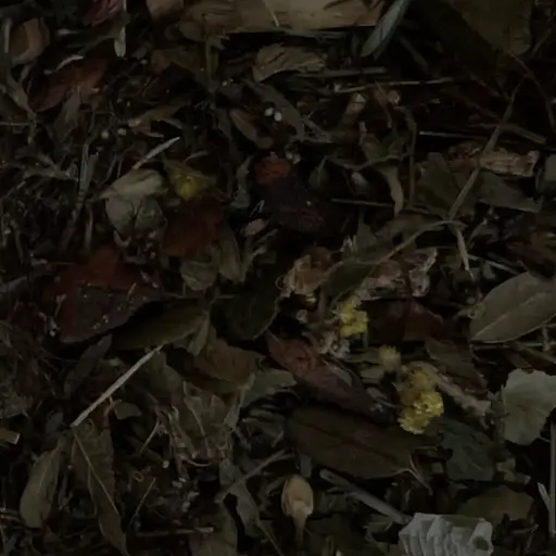 Сбор травяной при мочекаменной болезни от камней в почках, 100 г, (Свое производство)