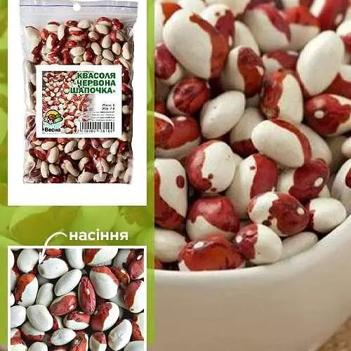 Квасоля "Червона шапочка" ТМ "Весна" 100г (24115) - фото 1
