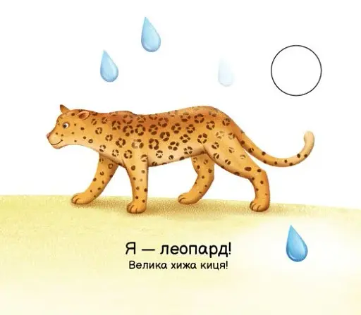 Моя книжка-розкладайка. Тварини світу - фото 7