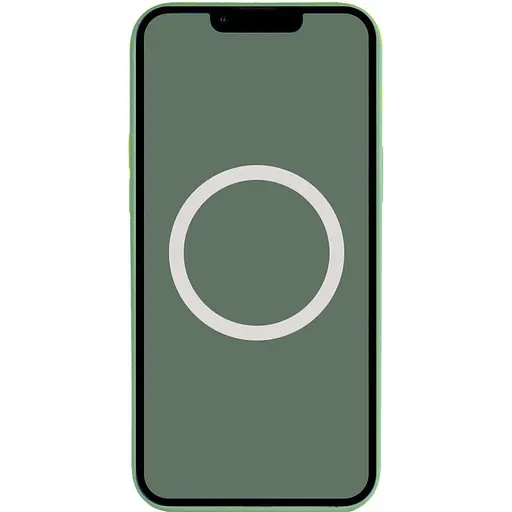 Чехол Epik Silicone case AAA with Magsafe and Animation для Apple iPhone 13, 6.1 Зеленый/Eucalyptus - фото 3
