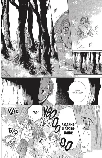 У лісі, де мерехтять світлячки - фото 3