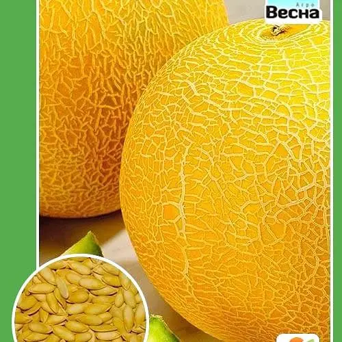 Дыня "Дубовка" ТМ "Весна" 1.5г (10129) - фото 1