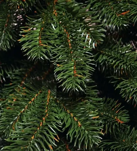 Гирлянда густая из хвои Элит 1.5 м литая (Зеленая) - фото 3