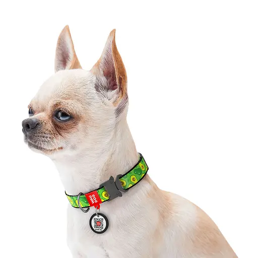 Нашийник для собак нейлоновий Waudog Nylon з QR-паспортом "Авокадо" металічна пряжка-фастекс Ш 25 мм Д 33-49 см - фото 3