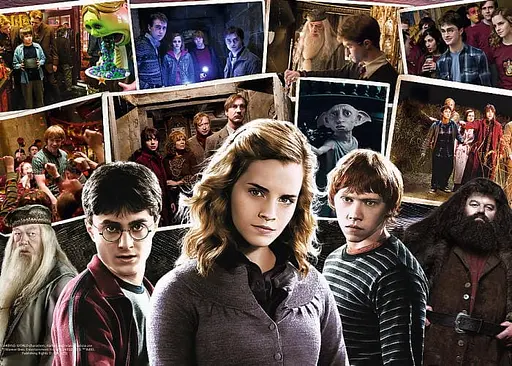 Пазл Trefl Гаррі Поттер та друзі Гаррі Поттер 160 ел. (15418) - фото 2