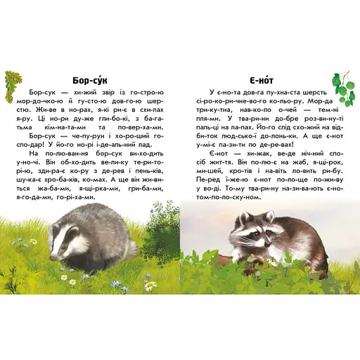 Читаю про Украину по слогам "Животные лесов" 366023 с цветными иллюстрациями - фото 4