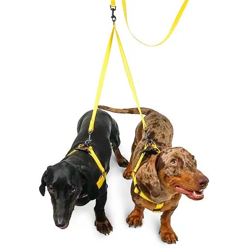 Повідець-спарка для собак рефлекторний Barksi Active (ширина 16 мм, довжина 80 см) жовтий - фото 4