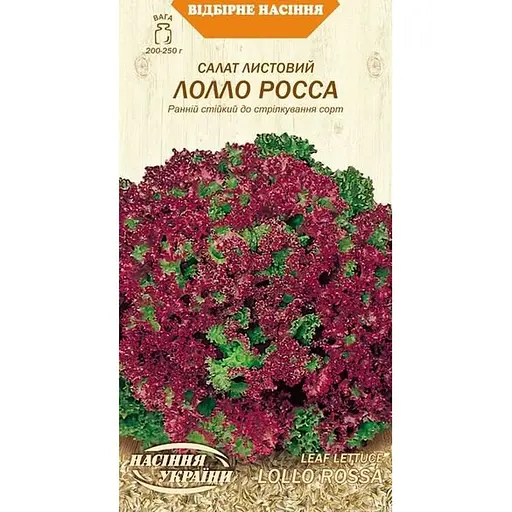 Насіння Салат листовий Насіння України Лолло росса 1 г (624300)