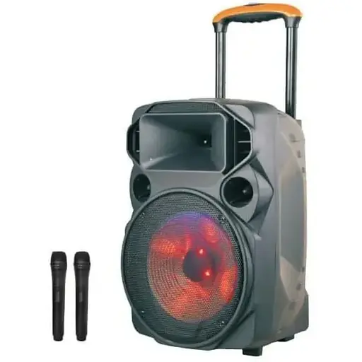 Акустична система TMG ZXX-1209 автономна з радіомікрофоном - фото 1