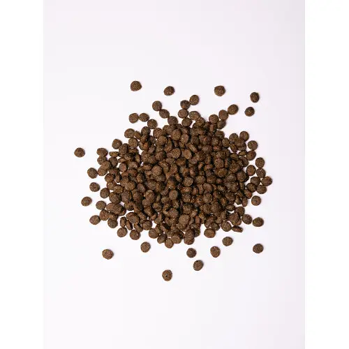 Сухой корм Savory для собак-гурманов мелких пород, со свежим ягненком, 8 кг - фото 2