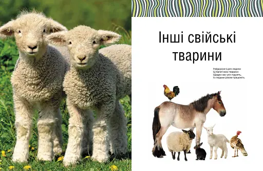 Малята звірята - фото 7