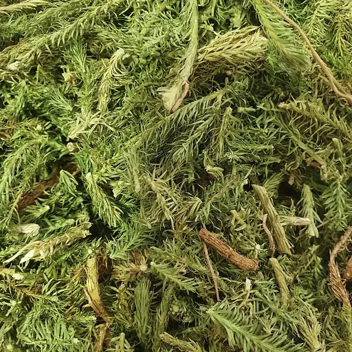 100 г плаун булавоподібний трава сушена - свіжий урожай