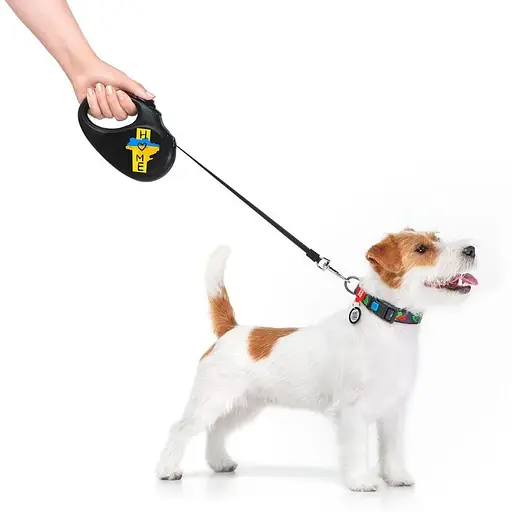 Повідець-рулетка для собак Waudog R-leash, малюнок "Дім", S, до 15 кг, 5 м, світловідбиваюча стрічка чорний - фото 7
