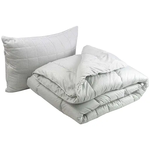 Набор Руно Elegante одеяло 140х205 см + подушка 50х70 см 924.52_Elegante