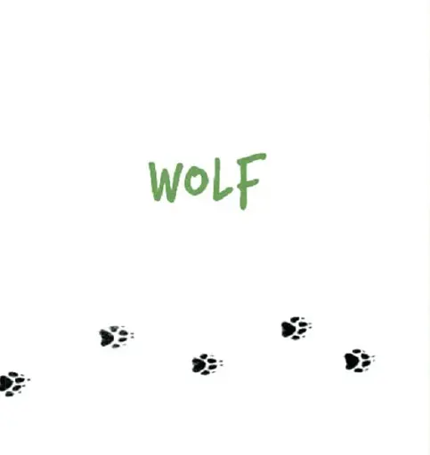 Forest Animals - фото 9