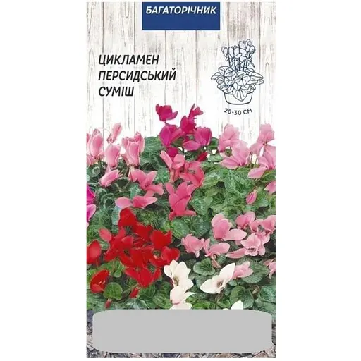 Цикламен Семена Украины Персидский (5шт семян) смесь   - фото 1